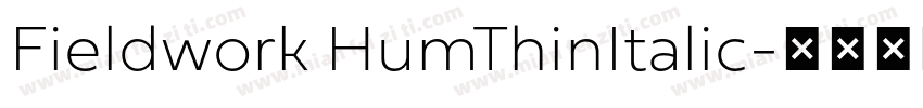 Fieldwork HumThinItalic字体转换